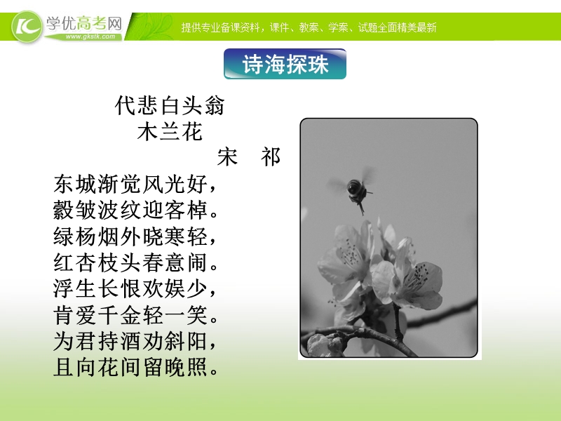 苏教版语文选修唐诗宋词选读专题八《苏幕遮天仙子八声甘州》.ppt_第3页