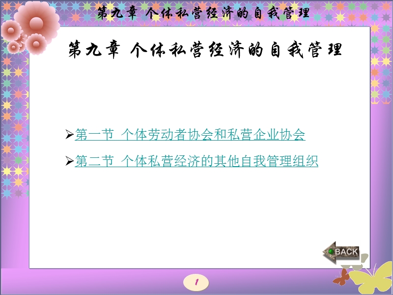 第9章个体私营经济的自我管理.ppt_第1页