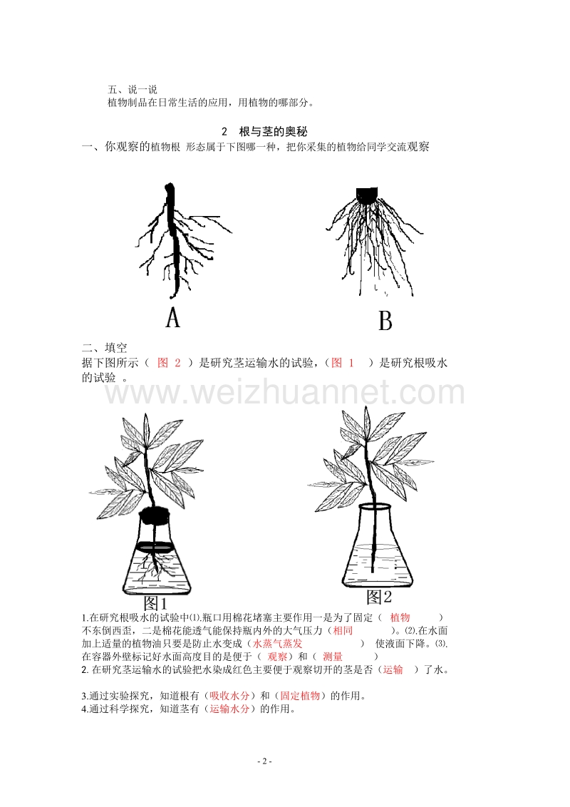 第一单元  植物生活的秘密.doc_第2页