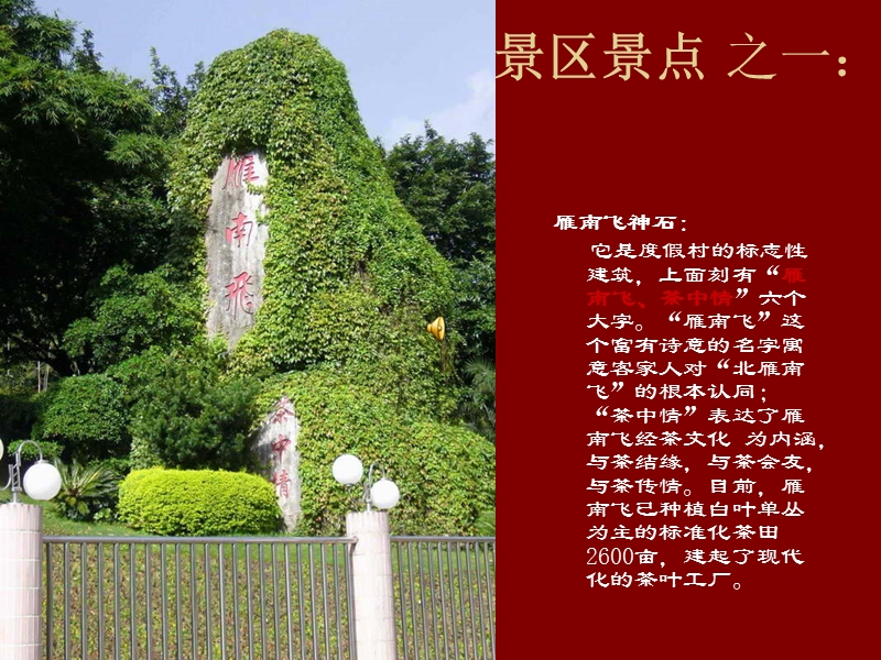 雁南飞茶田度假村.ppt_第3页