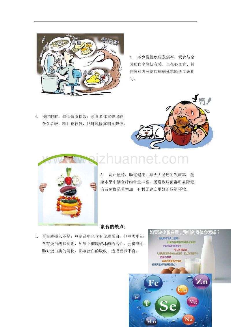 素食的利与弊.docx_第2页