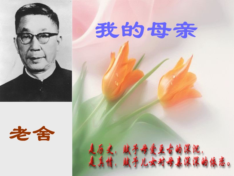 语文：粤教版必修2《我的母亲》课件.ppt_第1页