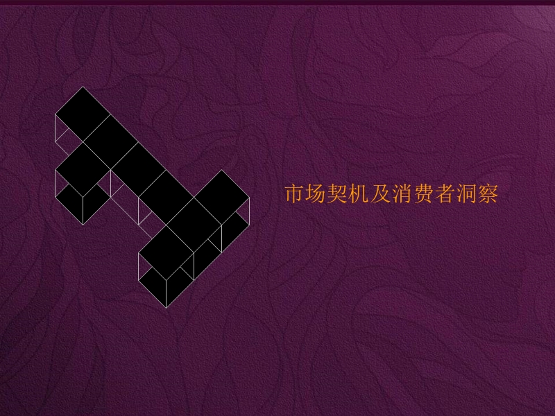 置信香颐丽都整合推广策略提案.ppt_第3页