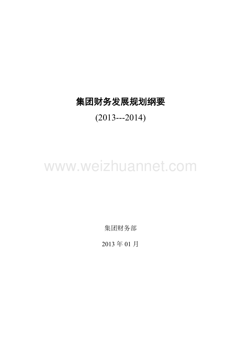 集团财务发展战略规划纲要.doc_第1页