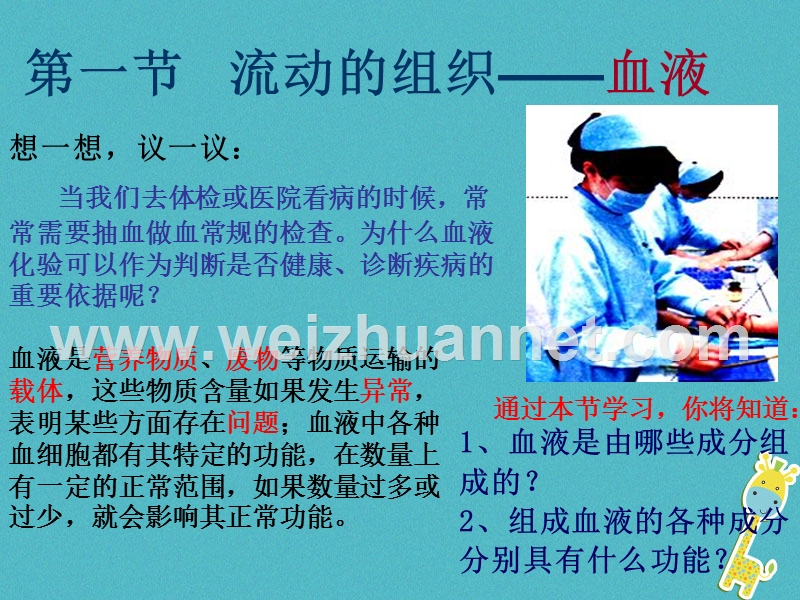 吉林省长春市七年级生物下册 4.4.1流动的组织-血液课件1 新人教版.ppt_第1页