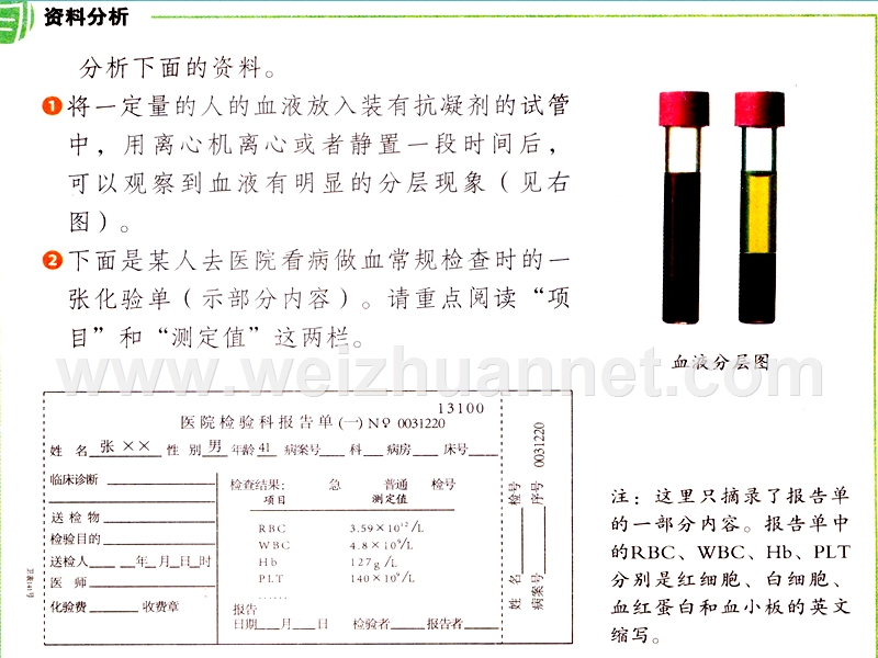 吉林省长春市七年级生物下册 4.4.1流动的组织-血液课件1 新人教版.ppt_第2页