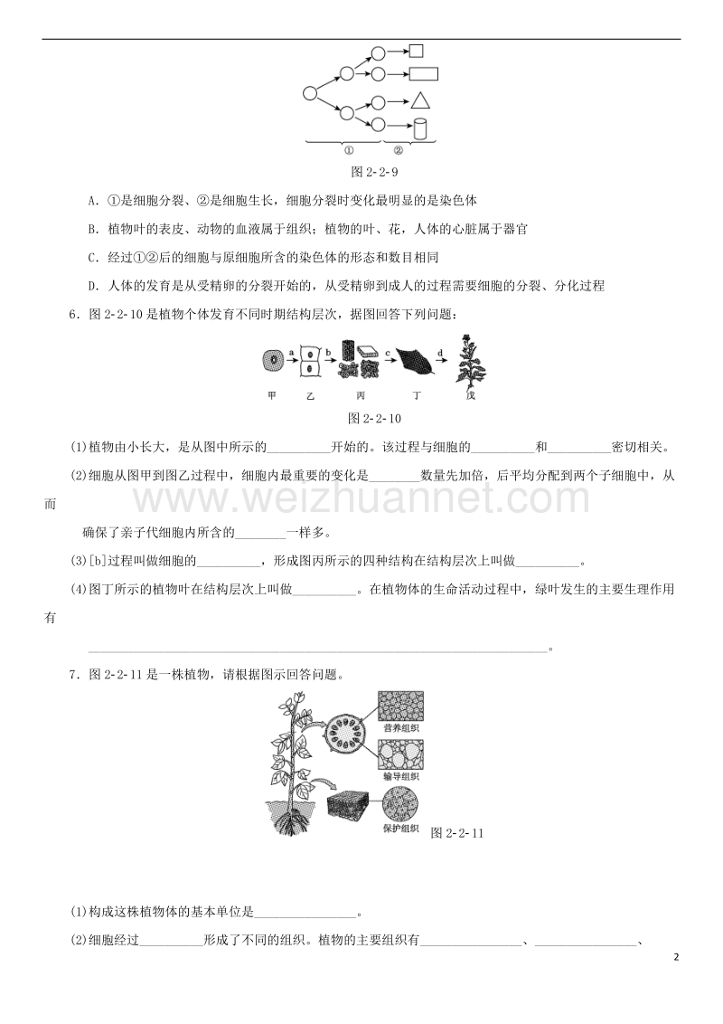 2018年中考生物复习 第二单元 第二章培优练.doc_第2页