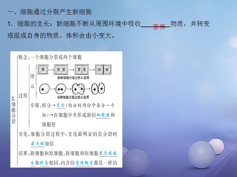 2017年中考生物 第二章 细胞怎样构成生物体复习课件.ppt_第3页