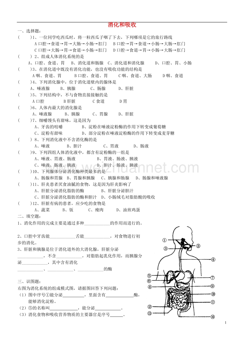 广东中山市2018七年级生物下册 4.2.2 消化和吸收习题1（无答案）（新版）新人教版.doc_第1页