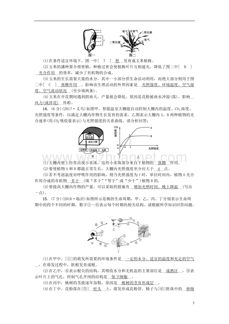 2018年中考生物 专题4 生物圈中的绿色植物复习练习.doc_第3页