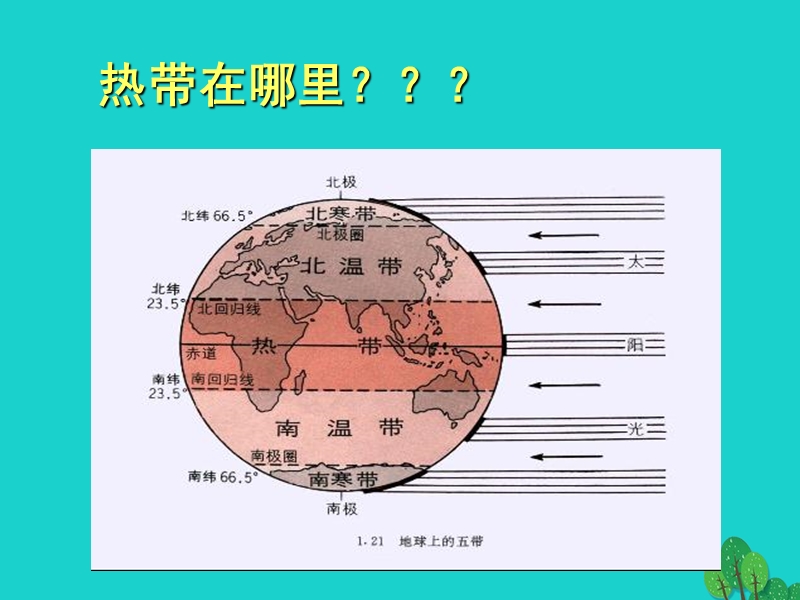 2017年秋三年级美术上册 第14课 奇特的热带植物课件2 岭南版.ppt_第2页