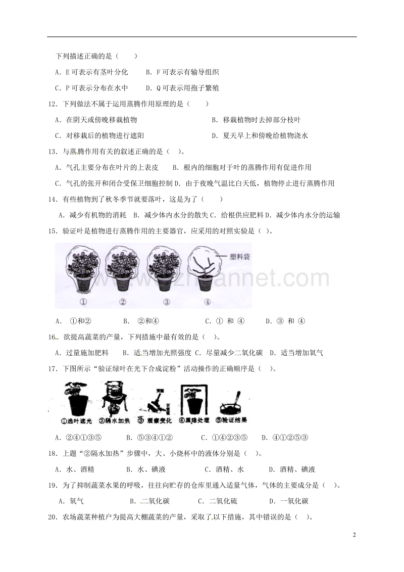 邹城市第八中学七年级生物上册 第三单元 第一章 生物圈中的绿色植物（一）单元综合检测（无答案） 新人教版.doc_第2页