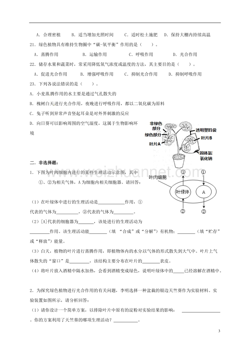 邹城市第八中学七年级生物上册 第三单元 第一章 生物圈中的绿色植物（一）单元综合检测（无答案） 新人教版.doc_第3页