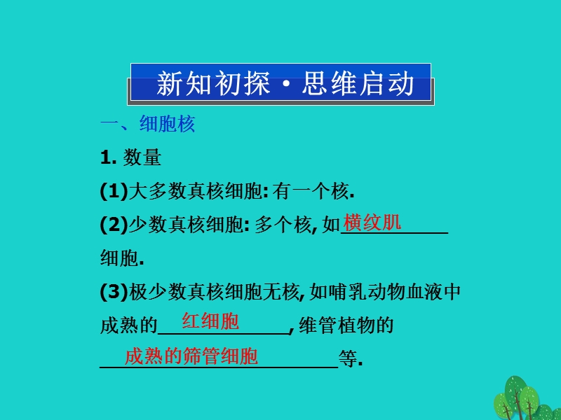 2017版高中生物 第三章 细胞的结构和功能 第二节 细胞核 生物膜系统课件 苏教版必修1.ppt_第2页