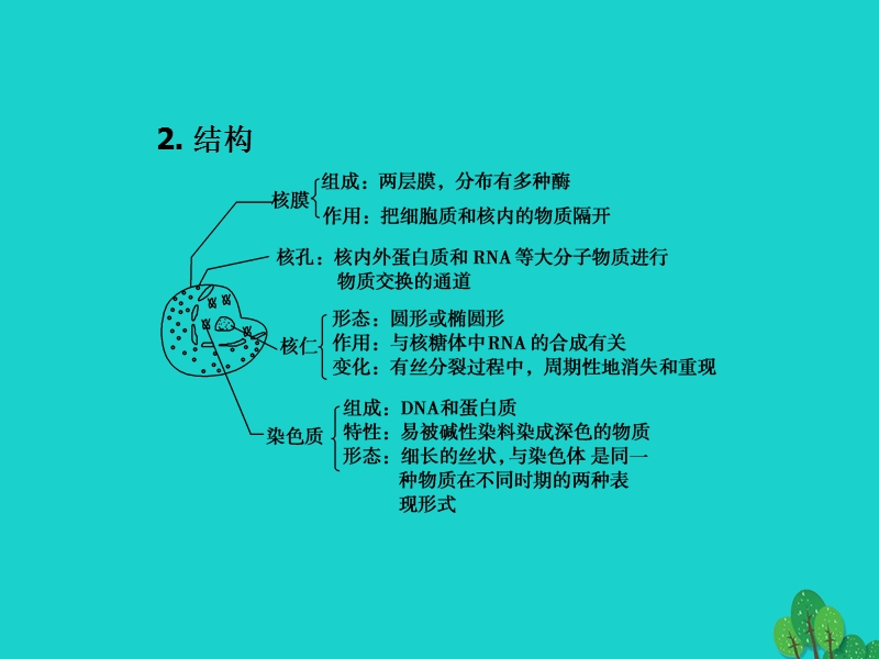 2017版高中生物 第三章 细胞的结构和功能 第二节 细胞核 生物膜系统课件 苏教版必修1.ppt_第3页