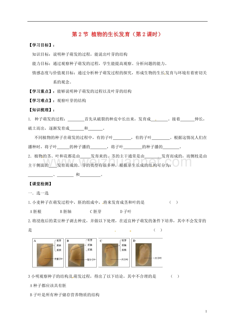 镇江市八年级生物上册 19.2 植物的生长发育（第2课时）学案（无答案）（新版）苏科版.doc_第1页