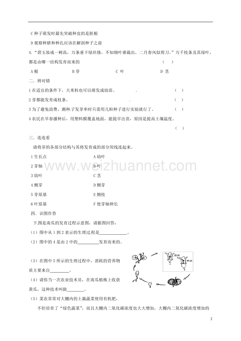 镇江市八年级生物上册 19.2 植物的生长发育（第2课时）学案（无答案）（新版）苏科版.doc_第2页