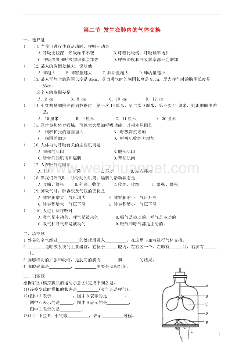 广东中山市2018七年级生物下册 4.3.2 发生在肺内的气体交换习题2（无答案）（新版）新人教版.doc_第1页