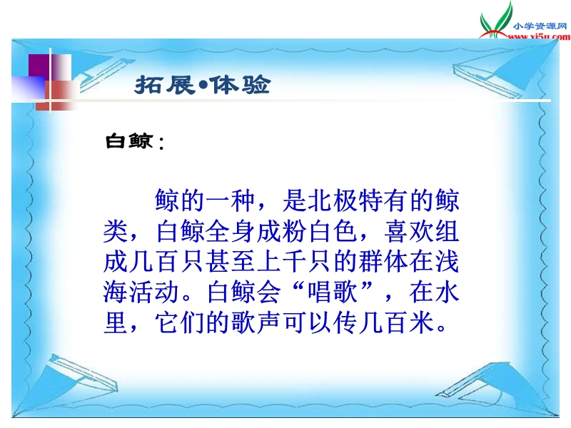 (北师大版)2015年秋三年级语文上册《喜爱音乐的白鲸》课件5.ppt_第2页