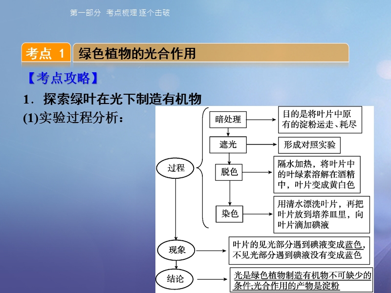 2018届中考生物 第三单元 第四、五章复习课件.ppt_第3页