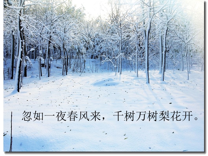 (北师大版)2015年秋四年级语文上册《下雪的早晨》课件2.ppt_第1页