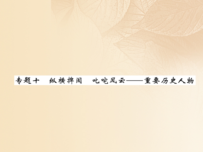 2018年中考历史总复习 第二编 热点专题速查篇 专题10 纵横捭阖 叱咤风云—重要历史人物（精练）课件.ppt_第1页