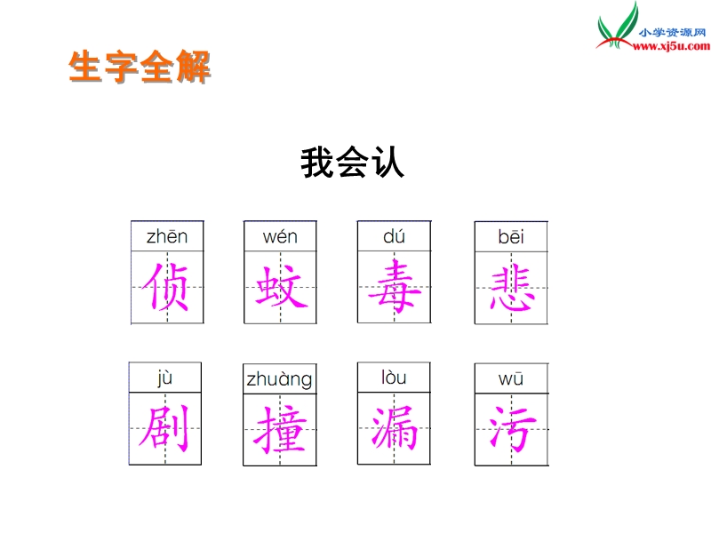 (北师大版)2015年秋五年级语文上册《鸟儿的侦察报告》课件1.ppt_第3页