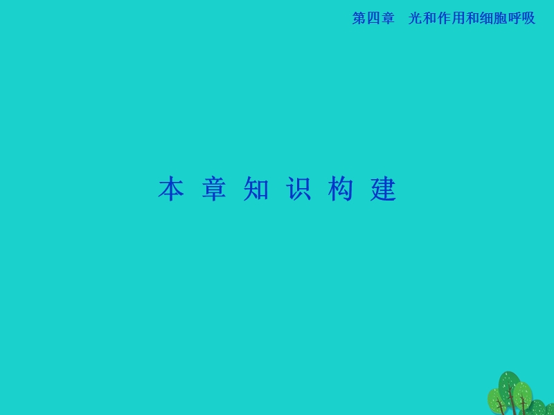 2017版高中生物 第四章 光合作用和细胞呼吸课件 苏教版必修1.ppt_第1页