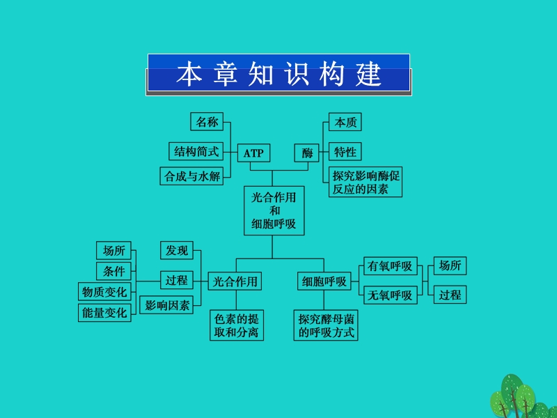 2017版高中生物 第四章 光合作用和细胞呼吸课件 苏教版必修1.ppt_第2页