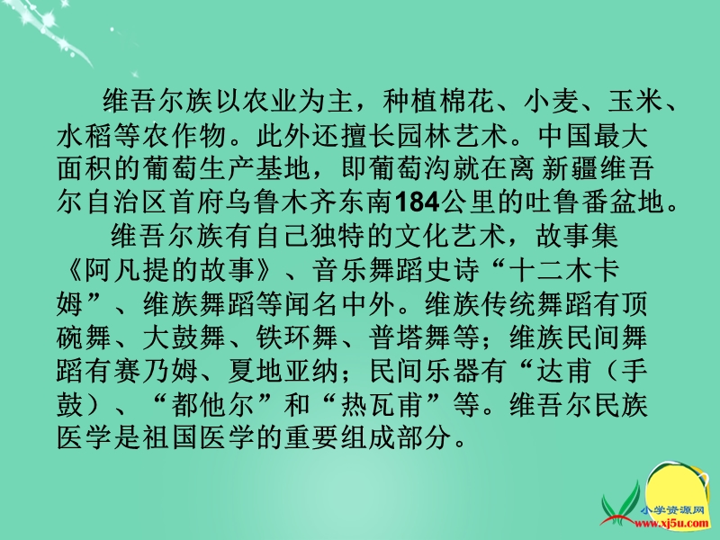 2015-2016（人教新课标）六年级语文下册课件：9《和田的维吾尔人》.ppt_第3页