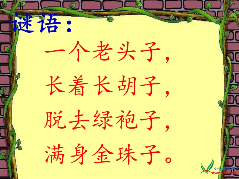 2015-2016学年二年级下册语文课件：19.《金色的玉米棒》课件1（湘教版）.ppt_第1页