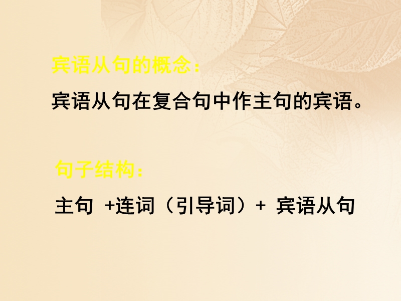 2018中考英语 语法专题 宾语从句教学课件.ppt_第3页