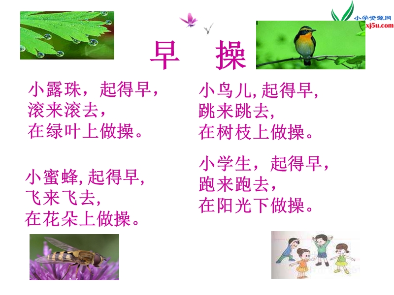 (北师大版)2015年秋一年级语文上册《早操》课件3.ppt_第3页