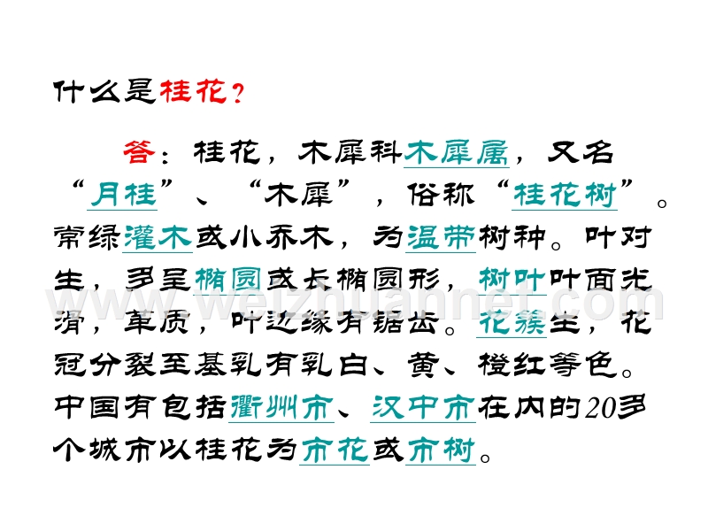 2018年（人教新课标）五年级上册语文7 桂花雨 课堂教学课件1.ppt_第2页