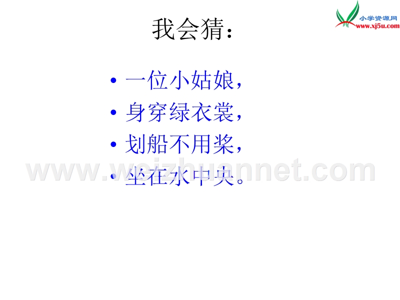 2017年（人教版）一年级下册语文14荷叶圆圆ppt课件2.ppt_第3页