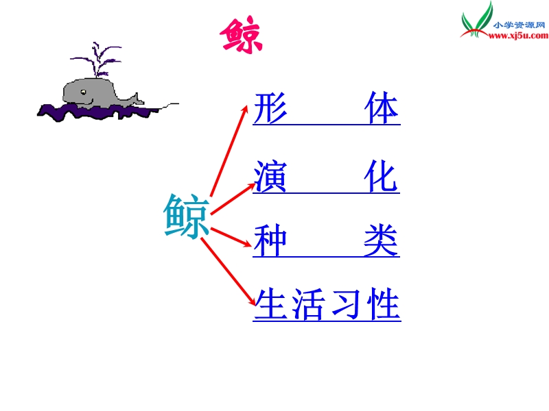 （北京版）2015春五年级语文下册《鲸》课件2.ppt_第3页