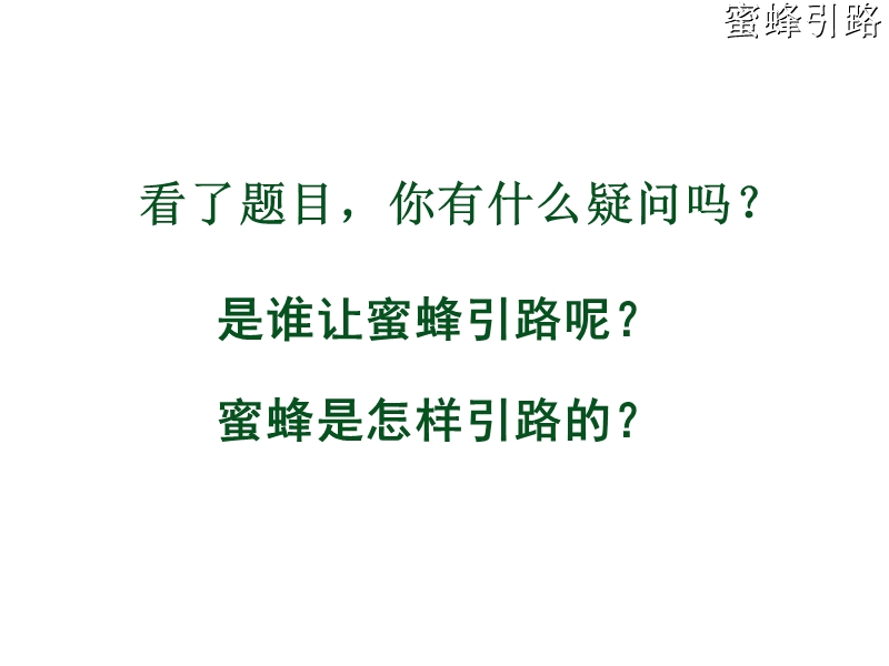 2018年 （人教新课标）二年级下册语文26蜜蜂引路ppt课件1.ppt_第3页