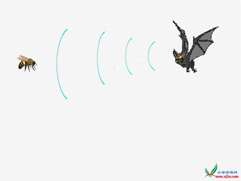 2016人教新课标语文四下 11.《蝙蝠和雷达》ppt课件2.ppt_第3页