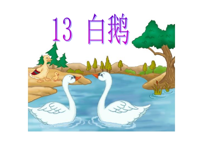 2018年（人教新课标）四年级上册语文13 白鹅 课堂教学课件3.ppt_第2页