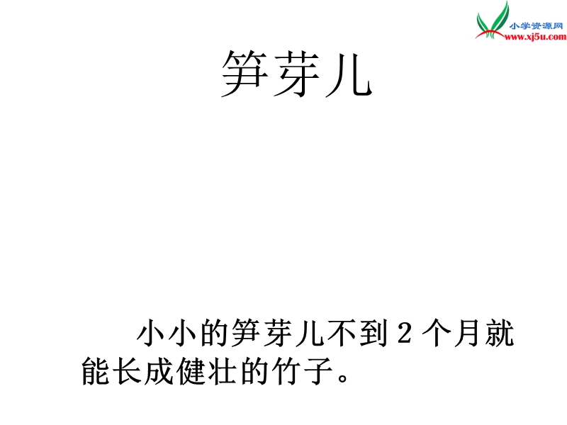 （北京版）2015春三年级语文下册《笋芽儿》课件1.ppt_第3页