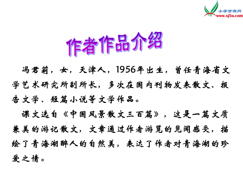 （北京课改版）六年级下语文课件（a）-青海湖，梦幻般的湖.ppt_第2页