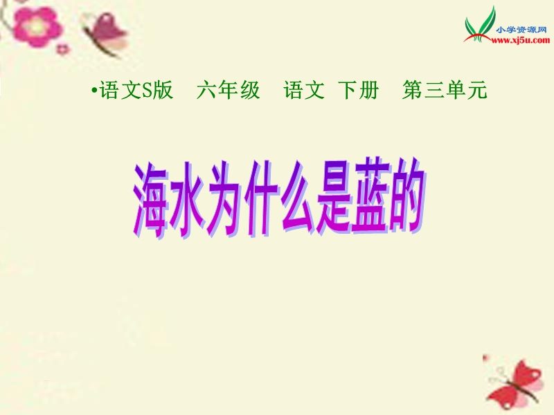 2016春（语文s版）六年级语文下册 第3单元 13《海水为什么是蓝的》课件3.ppt_第1页