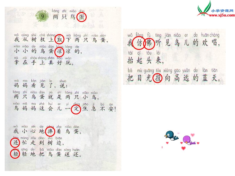 2017春（人教版）一年级下册语文9两只鸟蛋ppt课件2.ppt_第3页