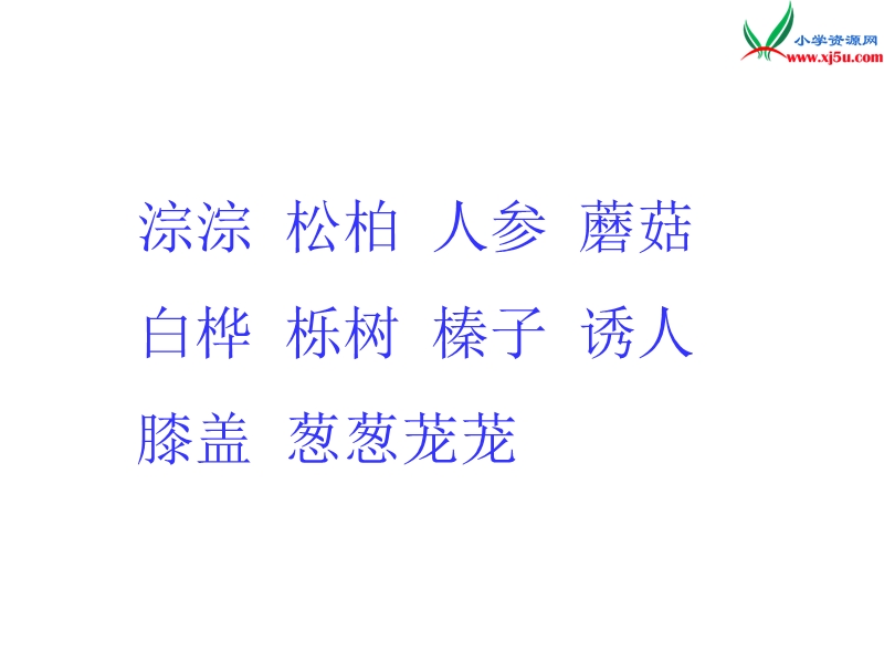 （北京课改版）四年级下语文课件-美丽的小兴安岭4.ppt_第2页