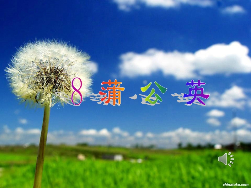 （苏教版）三年级语文上册8 蒲公英.ppt_第1页