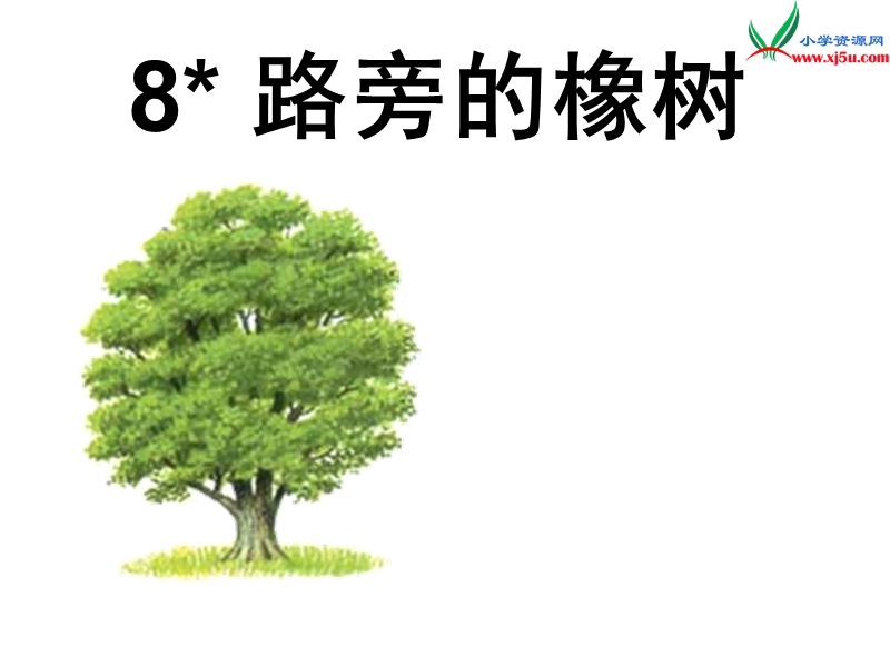 2017春（人教版）三年级下册语文8 路旁的橡树 课堂教学课件3.ppt_第1页