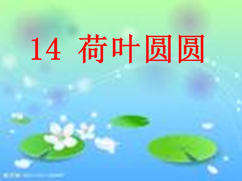 2017春（人教版）一年级下册语文14荷叶圆圆ppt课件1.ppt_第1页