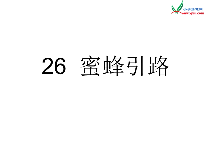 2017春（人教版）二年级下册语文26蜜蜂引路ppt课件2.ppt_第1页