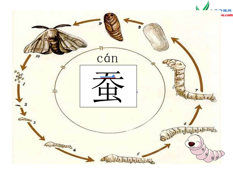 （苏教版）二年级下语文课件 蚕姑娘.ppt_第2页