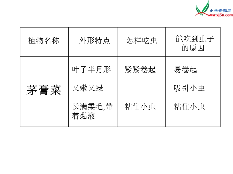 （北京版）2016春四年级语文下册《吃虫的植物》课件2.ppt_第3页